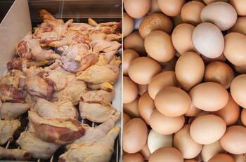 Gripe aviar en Chile: ¿Se puede comer huevos, pollo o pavo sin riesgo de contagio?