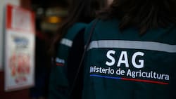 Gripe aviar: detectan nuevo caso de la H5N1 en Valdivia