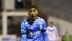 Jugó en la Juventus: Coquimbo Unido define al reemplazante de Matías Palavecino para 2026