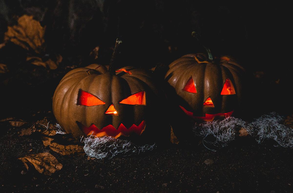 Fiesta Halloween Bosque Luz: ¿Cuándo será y que valor tienen las entradas?