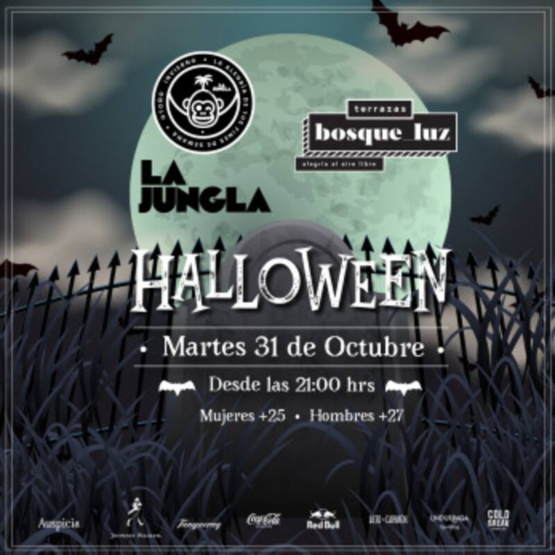 Flyer oficial