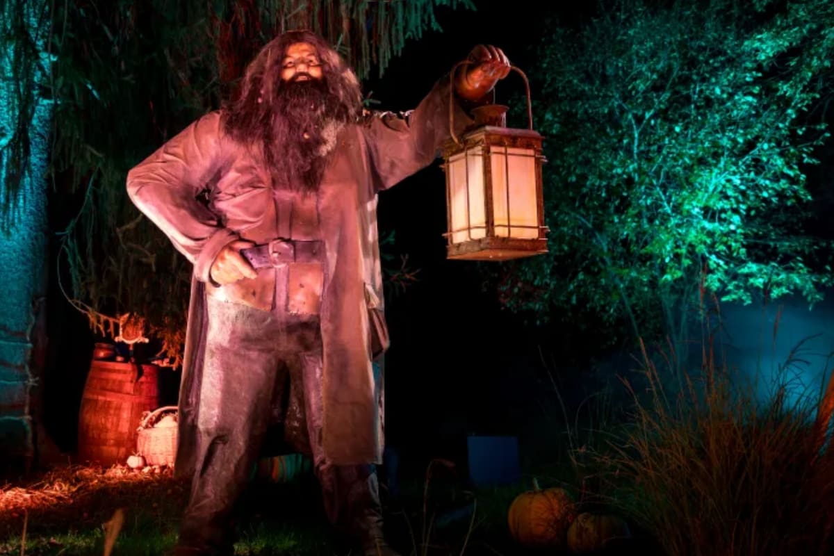 El evento también estará presente en Washington D.C. y Canadá. Foto: hpforbiddenforestexperience.com