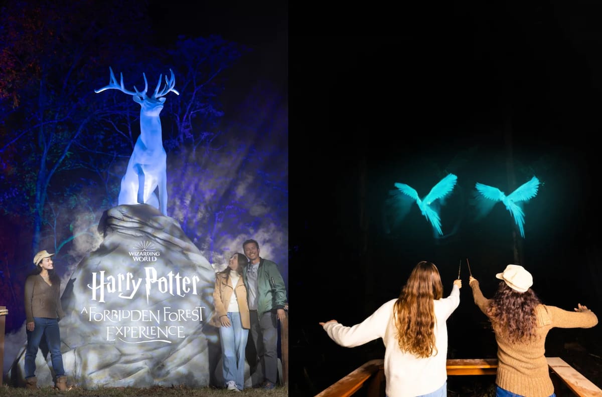 El Bosque Prohibido de Harry Potter llega a Santiago: ubicación, fechas y entradas con descuento
