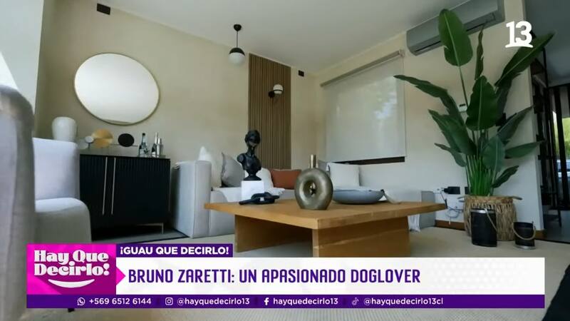 Las plantas le dan el toque agradable a un espacio moderno.