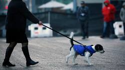 Hasta -4 grados: Emiten advertencia por heladas en 7 regiones del país