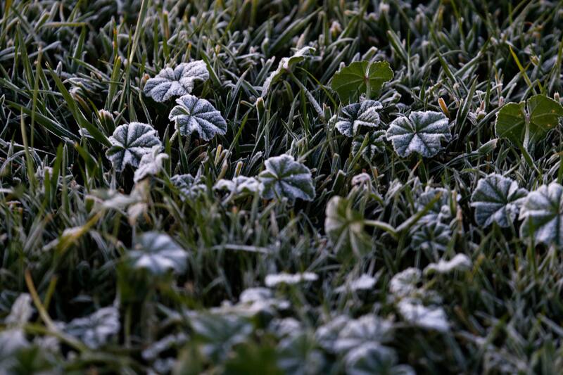 Las bajas temperaturas se extenderán por varias regiones del país este jueves.