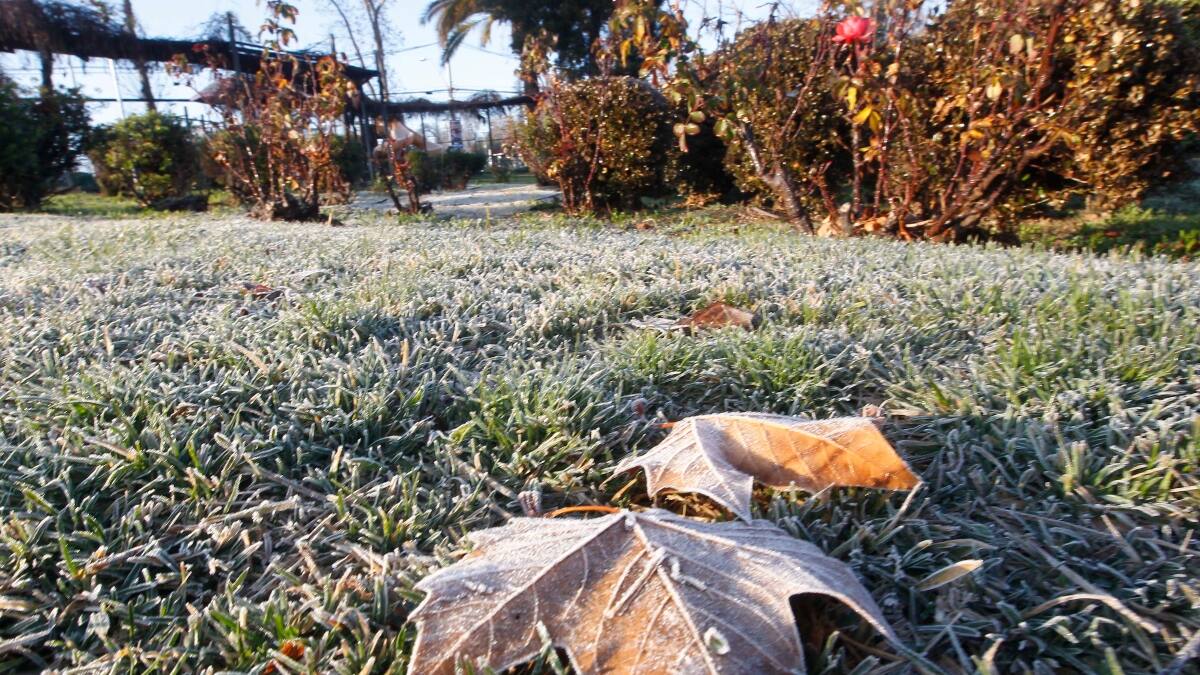 Heladas dejarán mínimas de hasta -12° en estas regiones de Chile durante el fin de semana