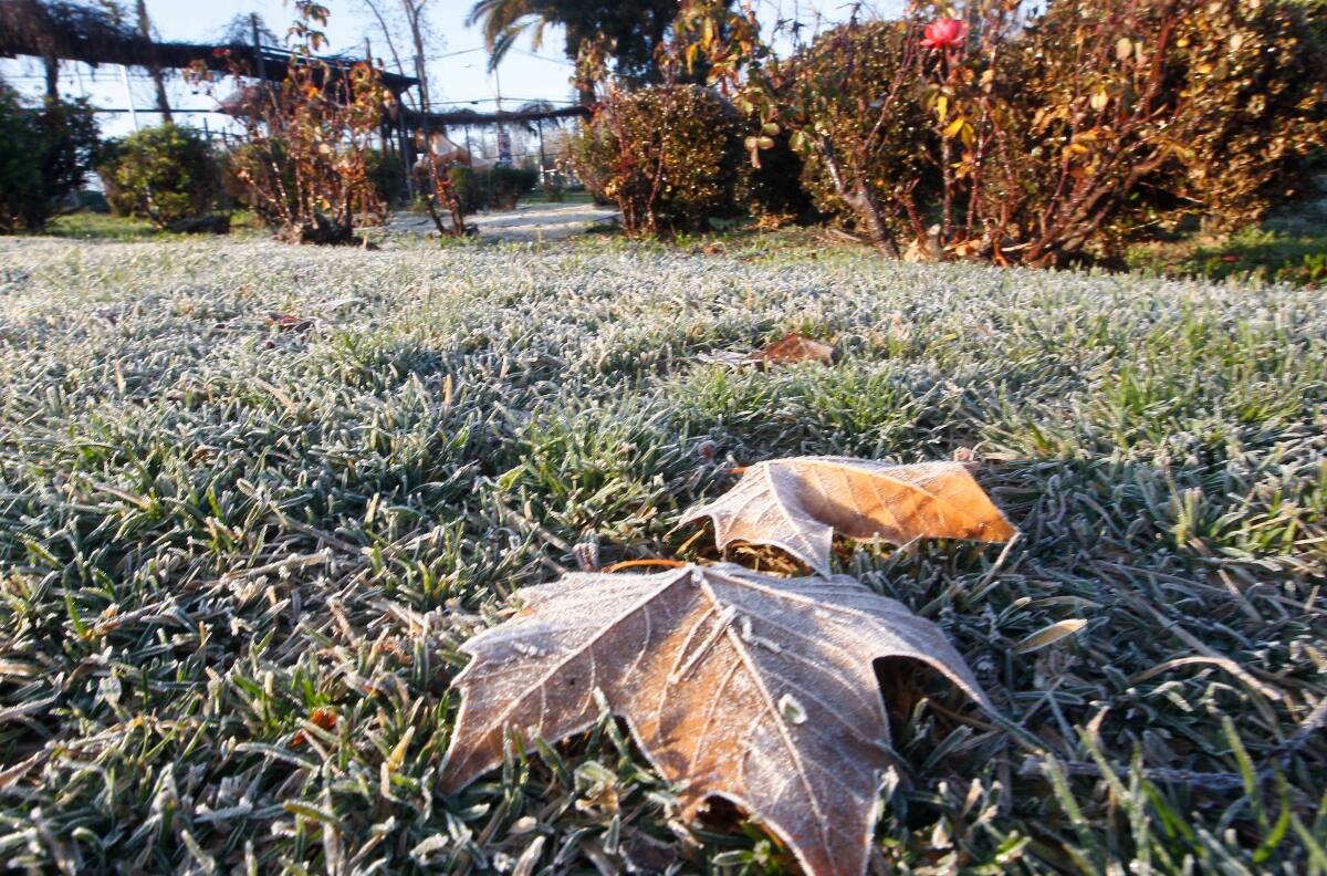 Heladas dejarán mínimas de hasta -12° en estas regiones de Chile durante el fin de semana
