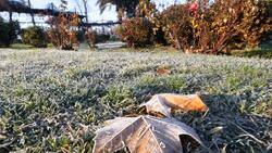 Heladas dejarán mínimas de hasta -12° en estas regiones de Chile durante el fin de semana