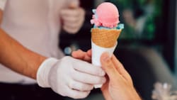 Las mejores 5 heladerías en Santiago ideales para visitar en este caluroso fin de semana