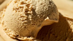 Receta de helado de cola de mono casero: La preparación ideal para refrescar la Navidad