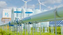 Corfo apuesta por megaproyectos de hidrógeno verde: invertirá más de $10.300 millones