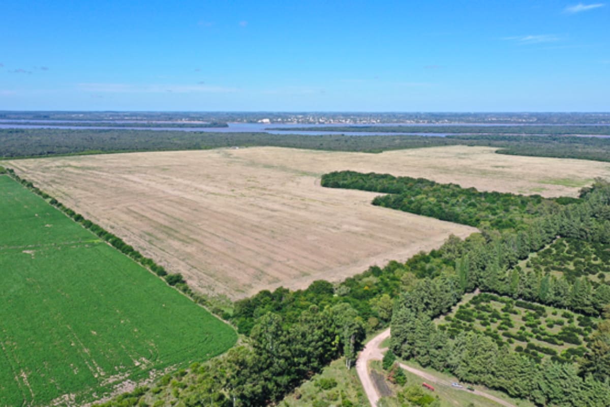 Ambicioso proyecto podría afectar el turismo de la zona, que es la principal fuente de ingresos.