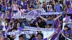 El gran desafío de Deportes Concepción: mantener su gran promedio de público en Primera División