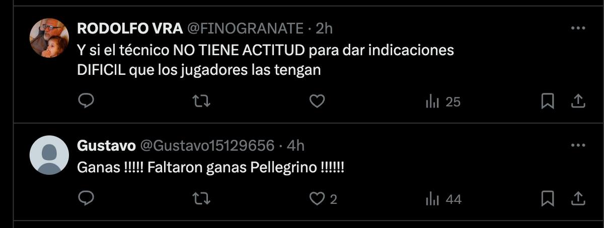 Cuestionaron a Mauricio Pellegrino.