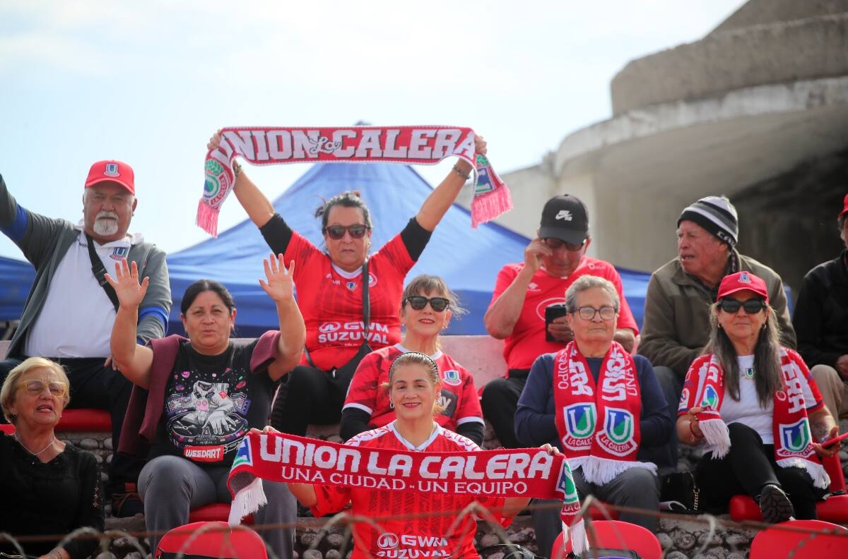Ya es obligatorio: ¿Cuántos fanáticos se han inscrito en el Registro Nacional de Hinchas?