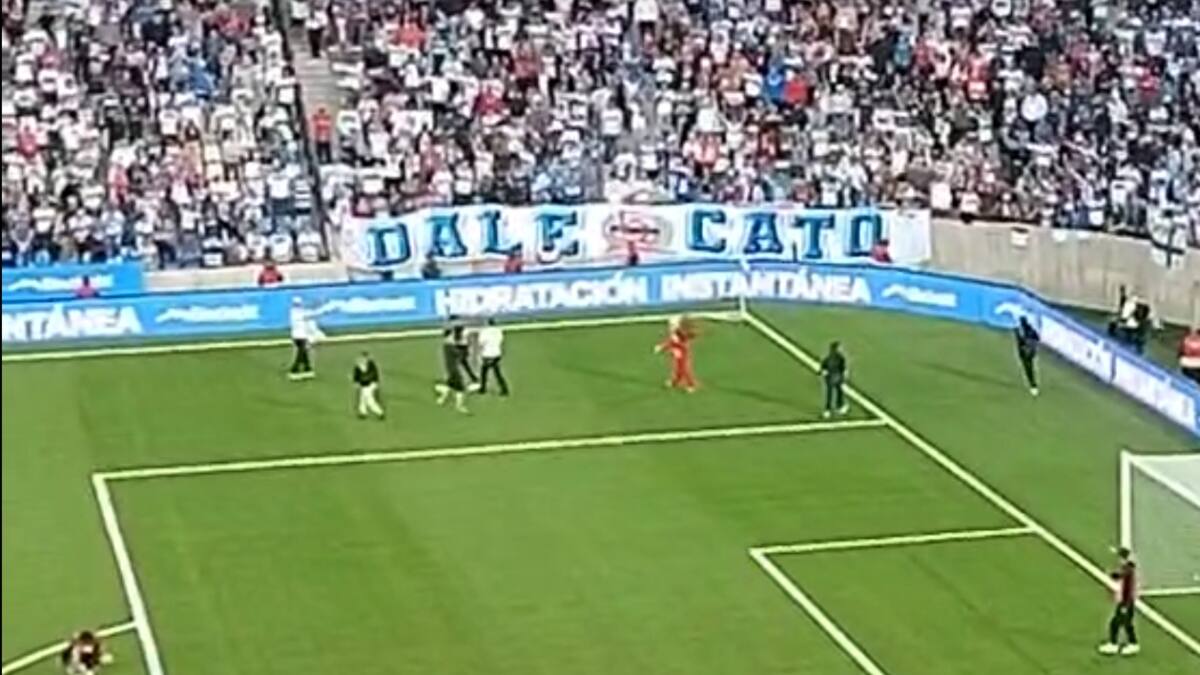 VIDEO | Se acordaron de la U: la reacción de los hinchas de la UC al ver el corpóreo de un león en el Claro Arena