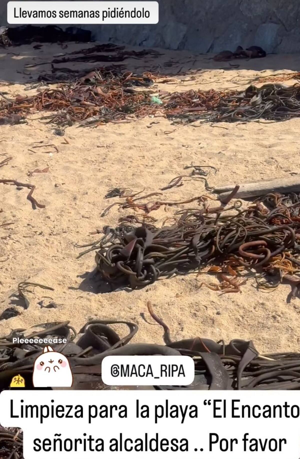 La animadora le envió un mensaje a Macarena Ripamonti. Créditos: Instagram