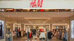 Esta es la razón por la que H&M deberá indemnizar a la diputada Camila Flores