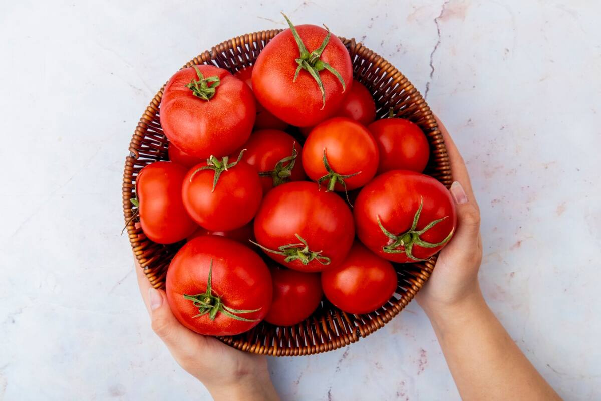 Guarda tus tomates de forma correcta para que no se echen a perder.