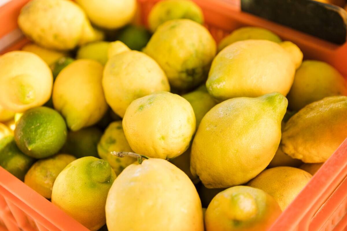 Conoce la forma correcta en la que debes guardar tus limones.