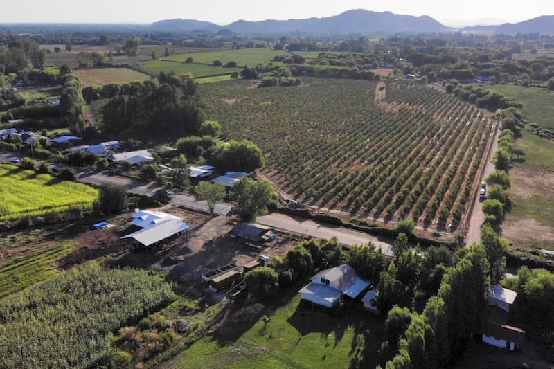 La compañía ha recibido múltiples acusaciones de estafas e incumplimientos de plazo por parte de sus clientes.