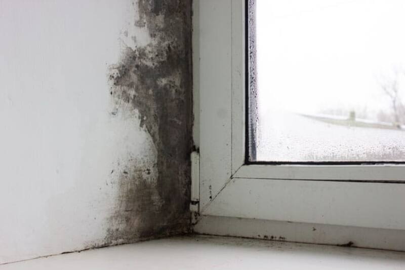 Así puedes prevenir la humedad en tu casa.
