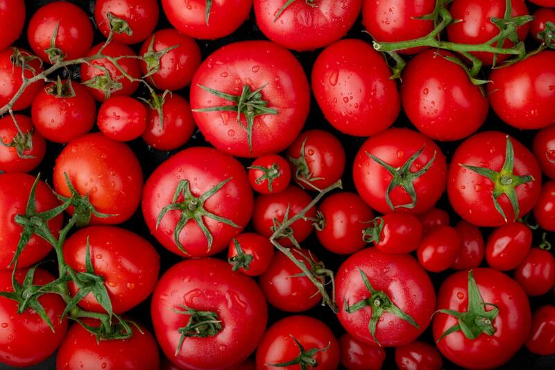 El tomate es el más exportado de Chile.