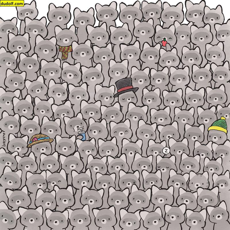 ¿Puedes encontrar el gato escondido entre los mapaches? - dudolf.com