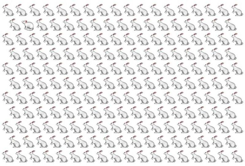 ¿Puedes identificar qué animal se esconde dentro de la imagen con conejos? - brightside.me