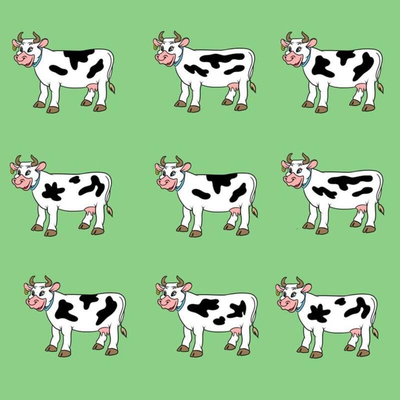 Test Visual: ¿Puedes identificar cuál de las vacas en esta imagen no tiene par? - brightside.me