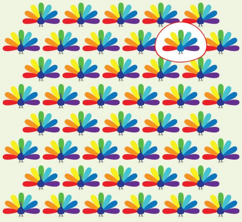 Solución: ¿Puedes identificar cuál de estos pavos reales es diferente? - brightside.me