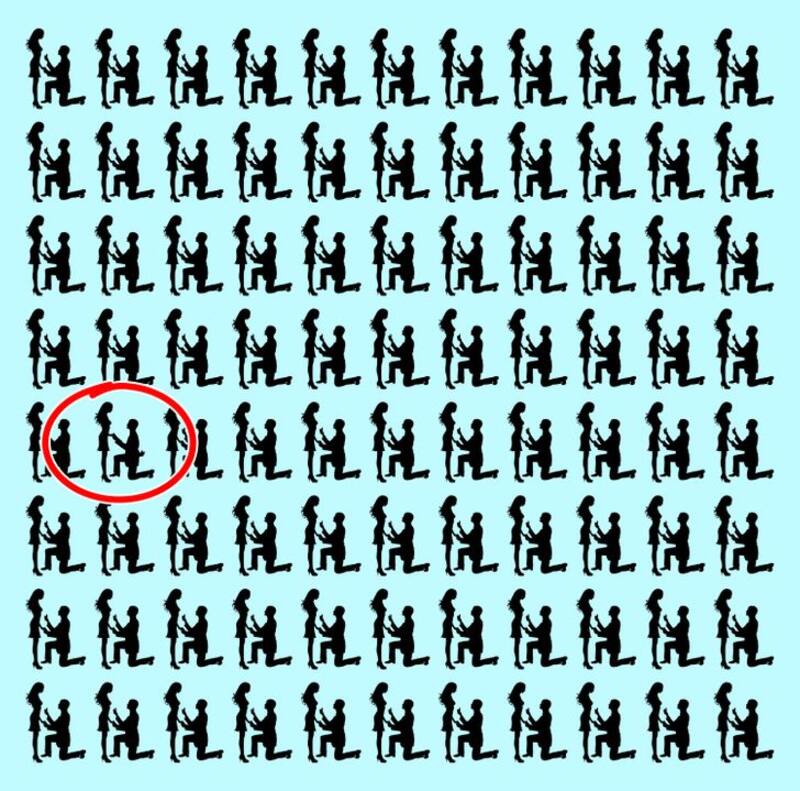 Resultado Test: ¿Puedes diferenciar la pareja distinta en la imagen? - brightside.me