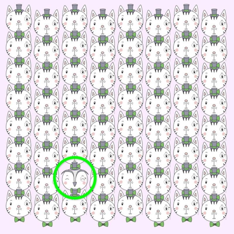 Solución: ¿Puedes encontrar el búho escondido entre los gatos en menos de 10 segundos? - brightside.me