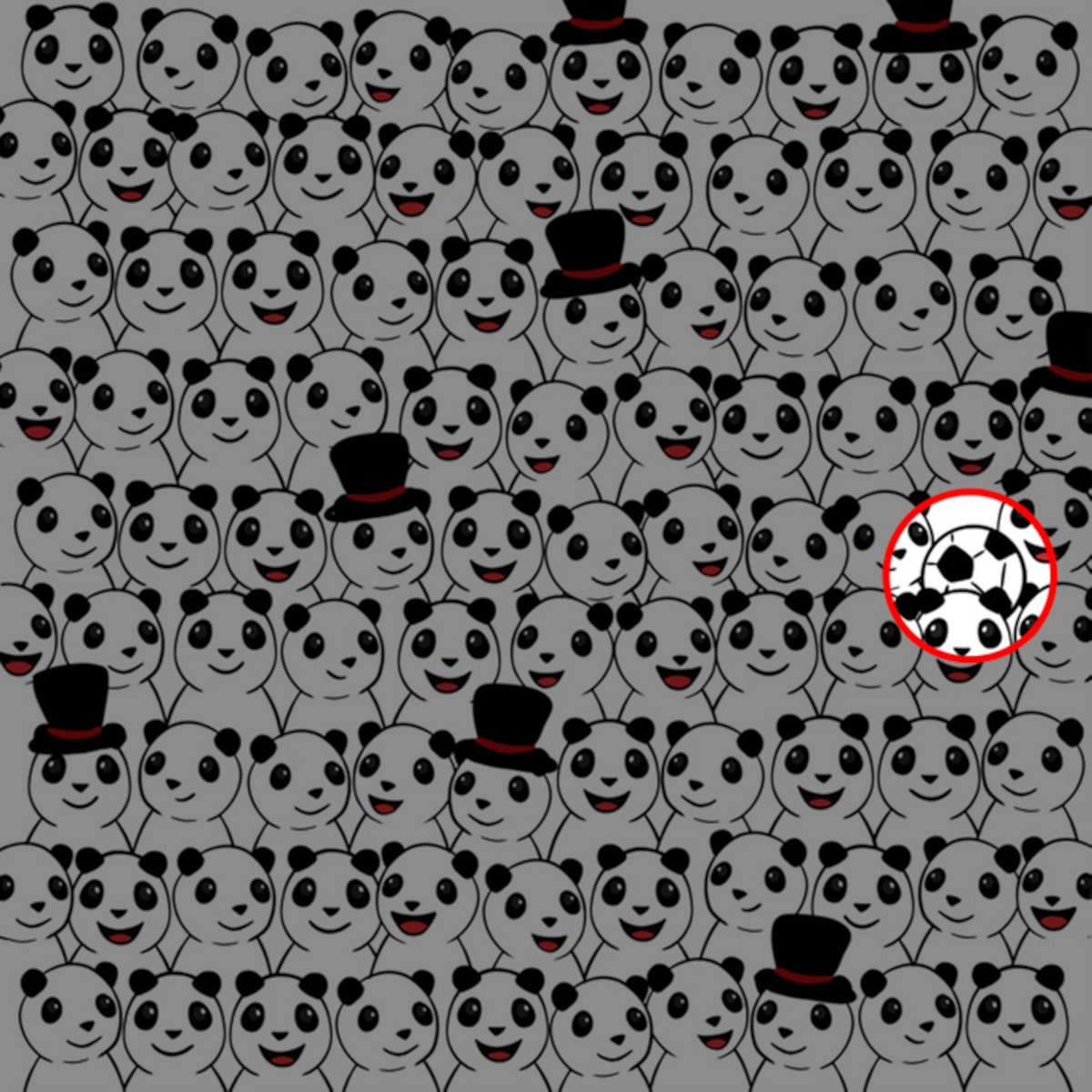 Solución - ¿Puedes encontrar la pelota entre los pandas? -brightside.me