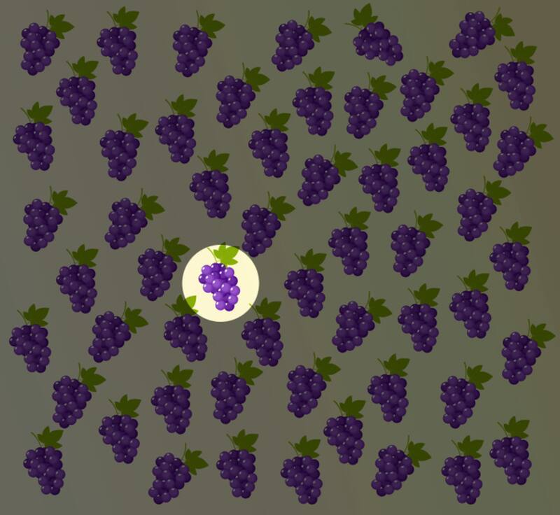 Solución: ¿Puedes identificar cuál de estas uvas es distinta en la imagen en menos de 15 segundos?
