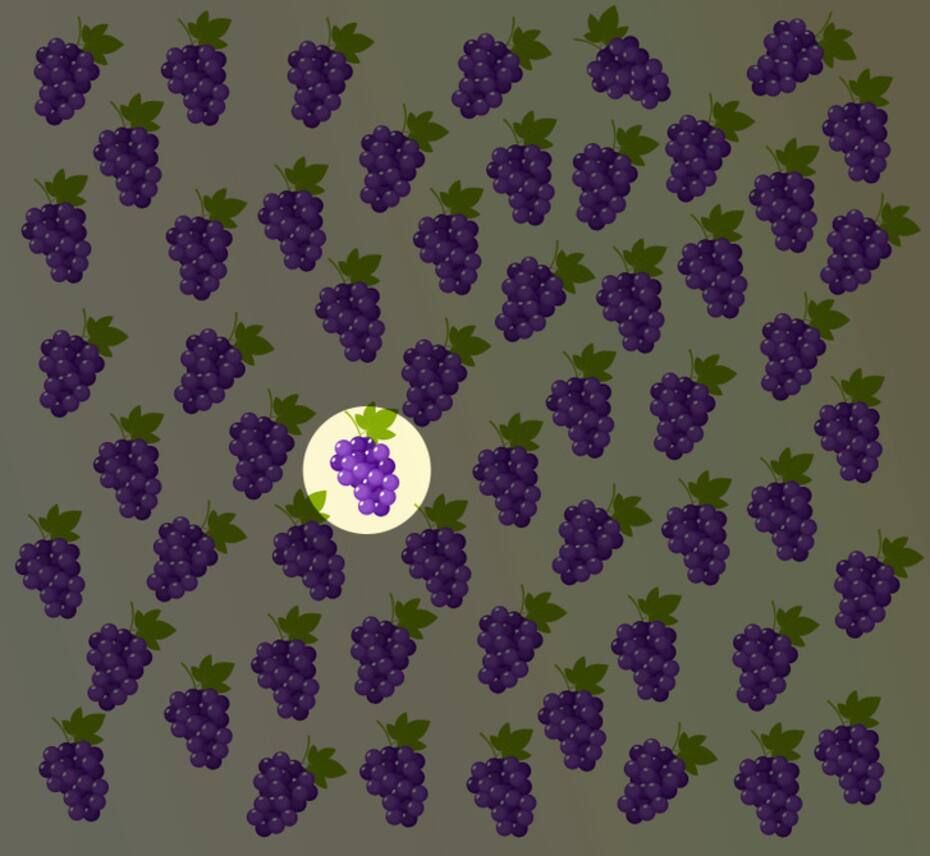Solución: ¿Puedes identificar cuál de estas uvas es distinta en la imagen en menos de 15 segundos?