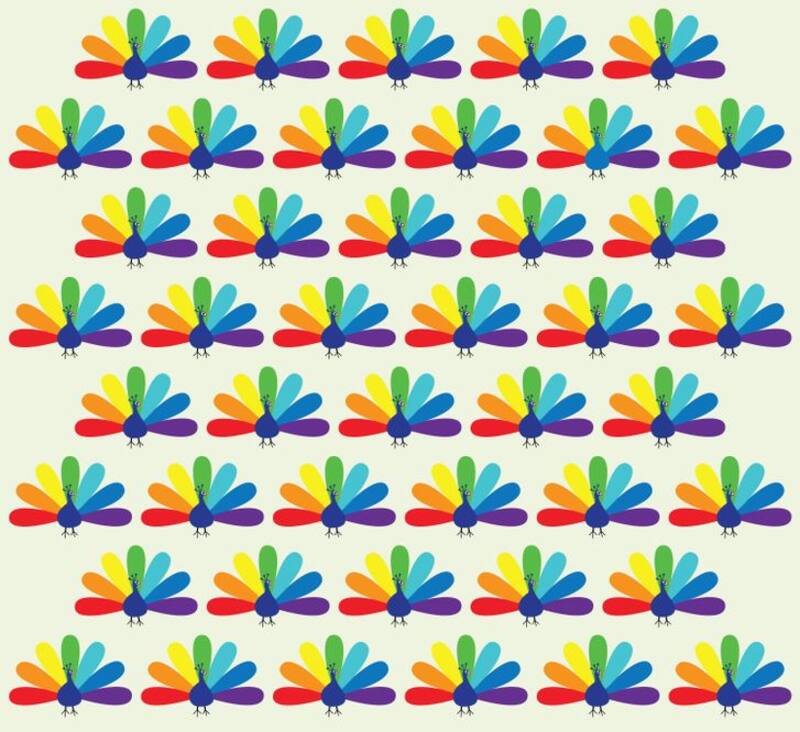 ¿Puedes identificar cuál de estos pavos reales es diferente? - brightside.me