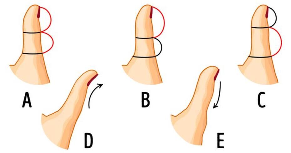 Conoce qué es lo que dice la forma de tu dedo pulgar sobre cómo eres - genial.guru