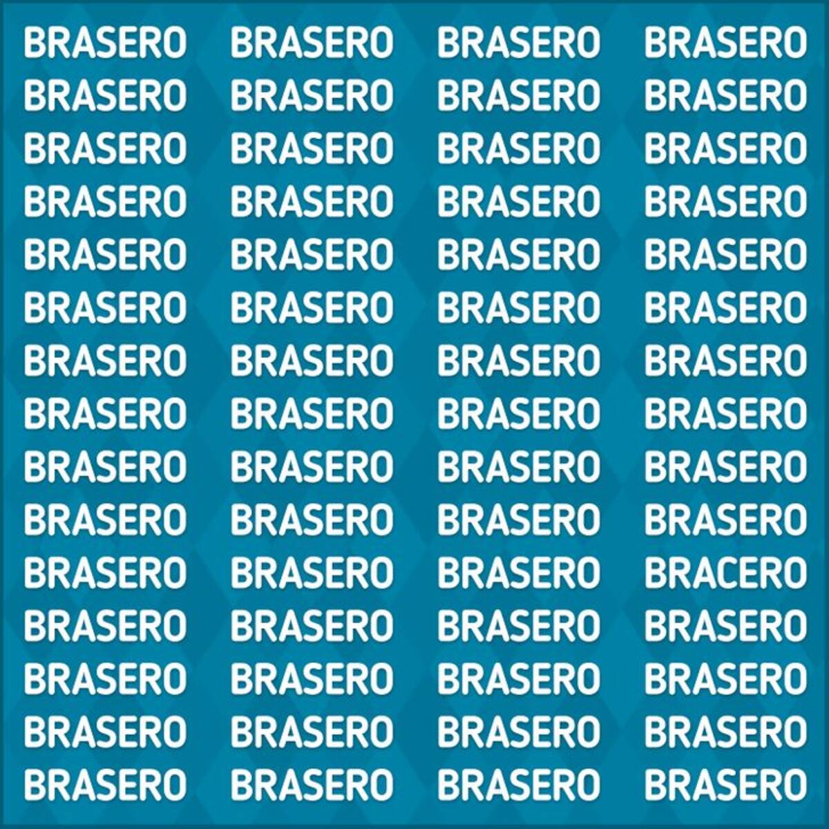¿Eres capaz de encontrar la palabra que no dice "BRASERO" en la imagen en menos de 10 segundos? - genial.guru