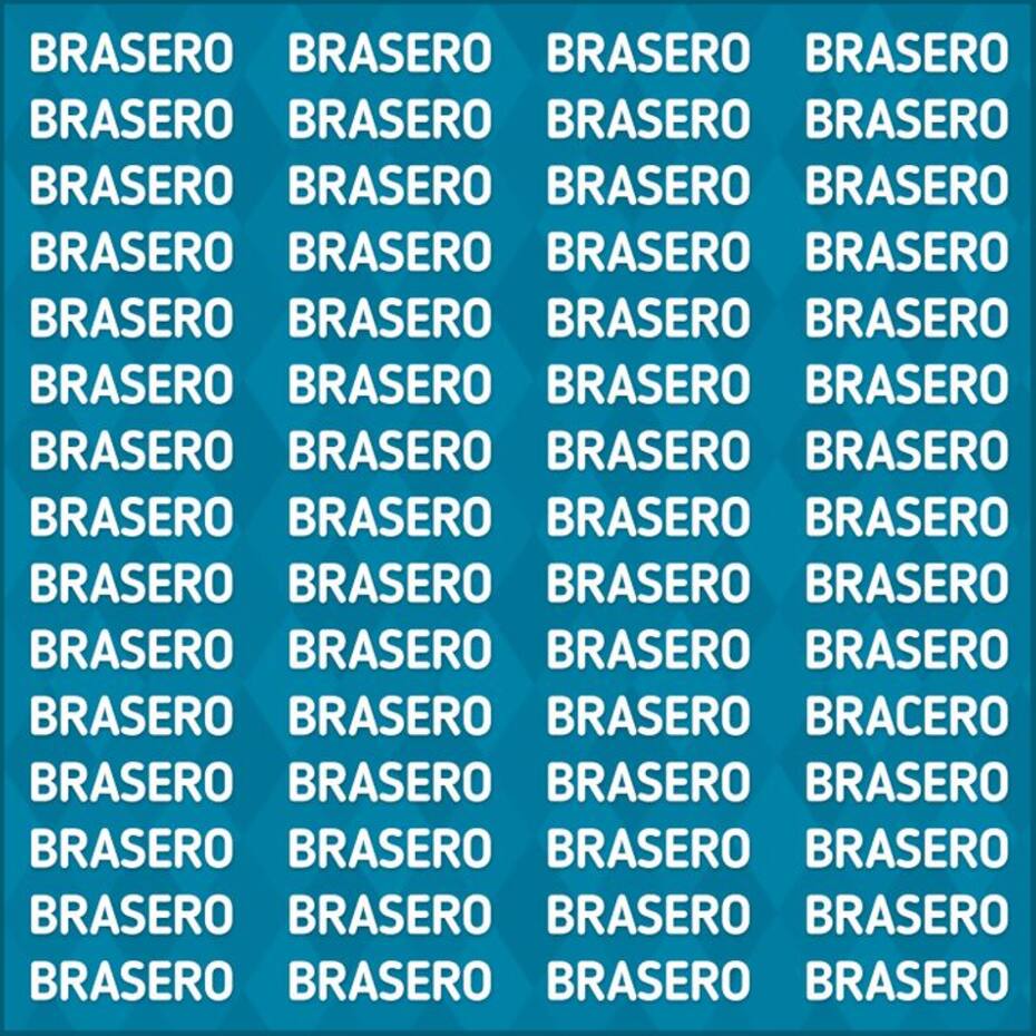 ¿Eres capaz de encontrar la palabra que no dice "BRASERO" en la imagen en menos de 10 segundos? - genial.guru