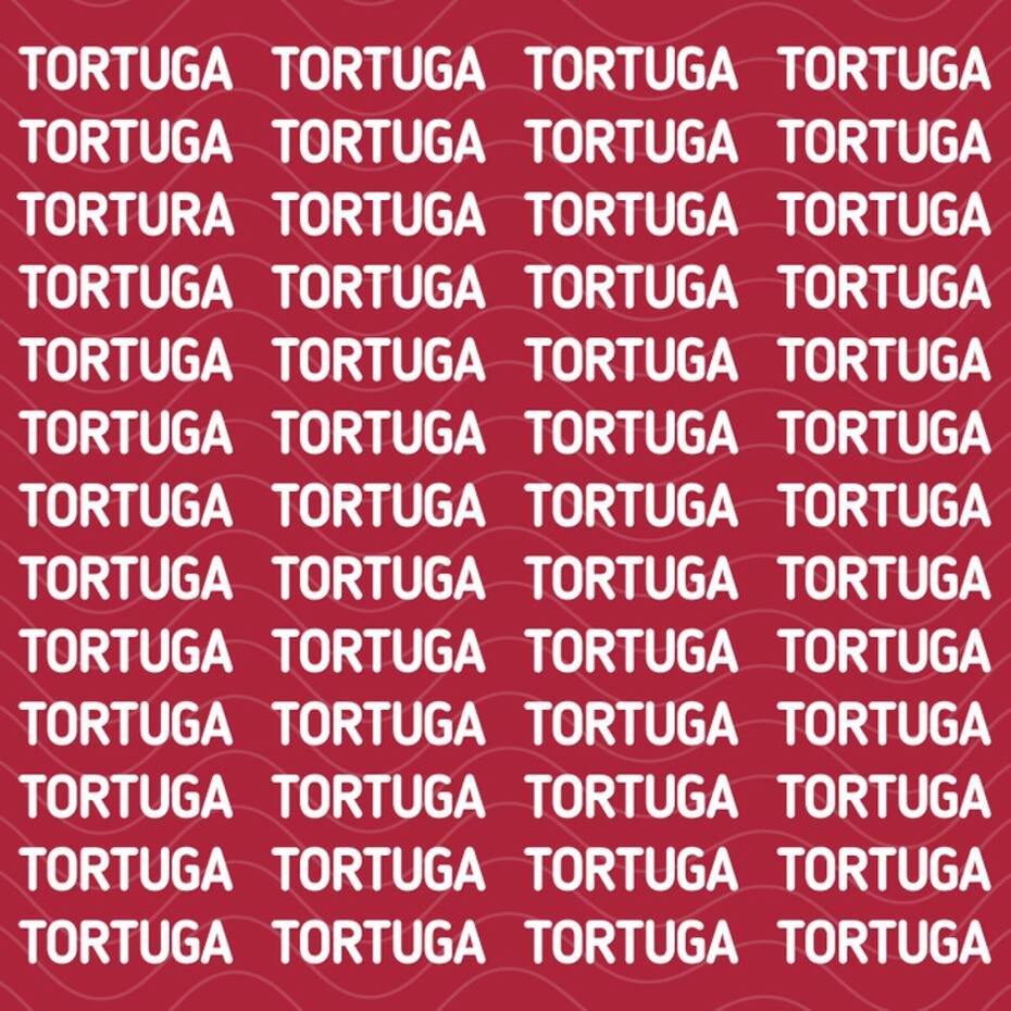 ¿Eres capaz de encontrar la palabra oculta en esta imagen? - brightside.me