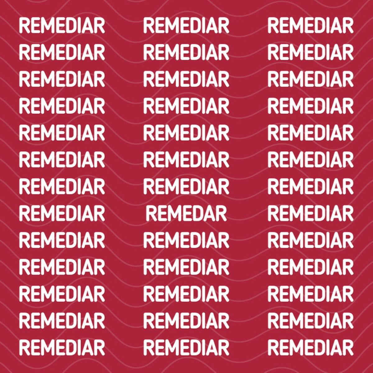 ¿Puedes encontrar la palabra distinta a "REMEDIAR" oculta en la imagen? - genial.guru