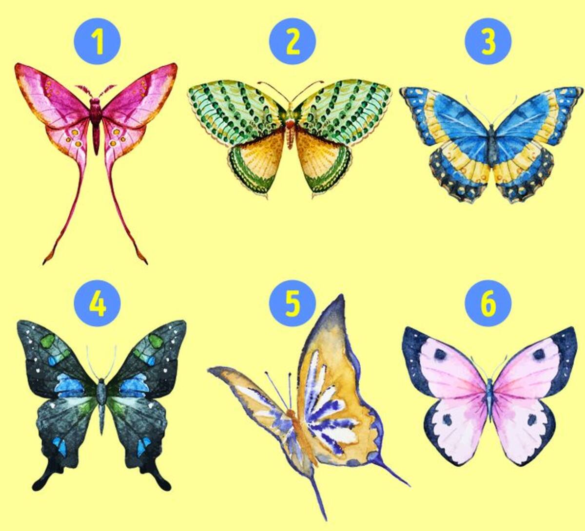 Elige una mariposa y revelará algo que ocultas - brightside.me