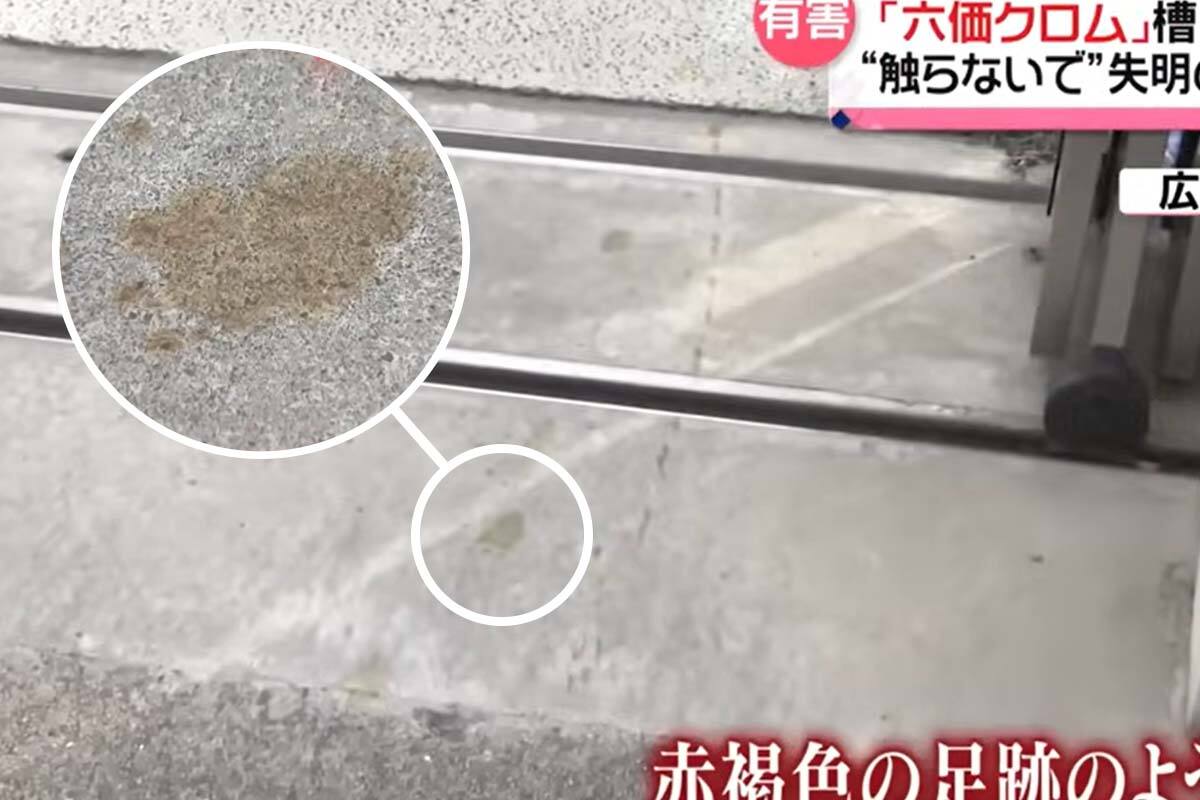 Registro de las huellas que dejó el felino luego de caer en el tanque de tres metros de profundidad que contenía sustancias químicas.