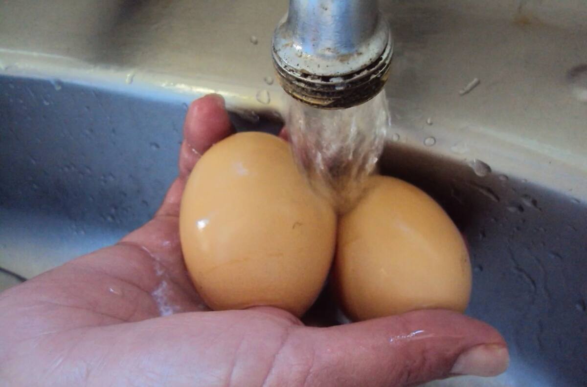 ¿Hay que lavar los huevos antes de guardarlos? La respuesta te sorprenderá