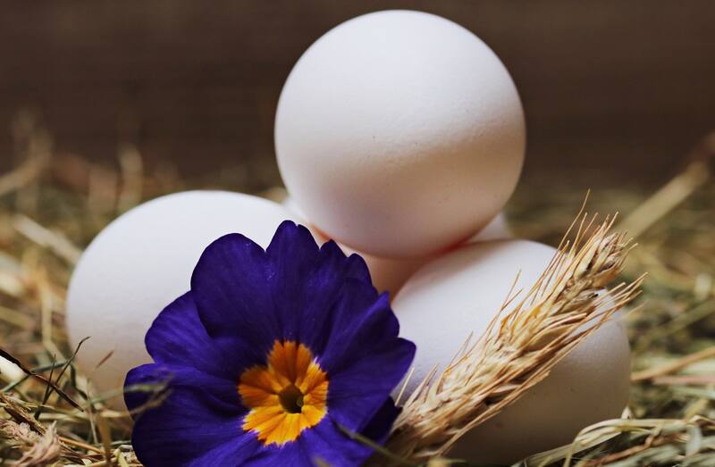 El huevo, además es un aliado en salud deermatológica. La mascarilla facial de aceite de coco y clara de huevo es una de las más efectivas para aquellas personas que sufren de piel seca | Foto: Befunky