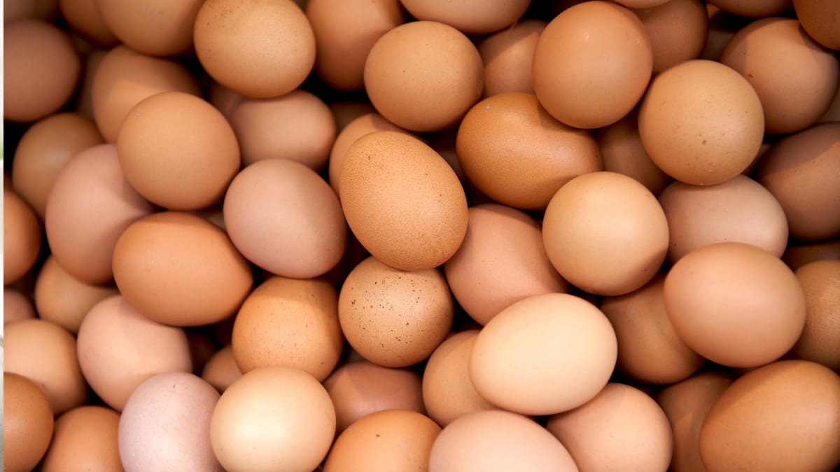 Precio del huevo sube un 20%: en este supermercado de Chile puedes pagar menos por la bandeja de 30 unidades