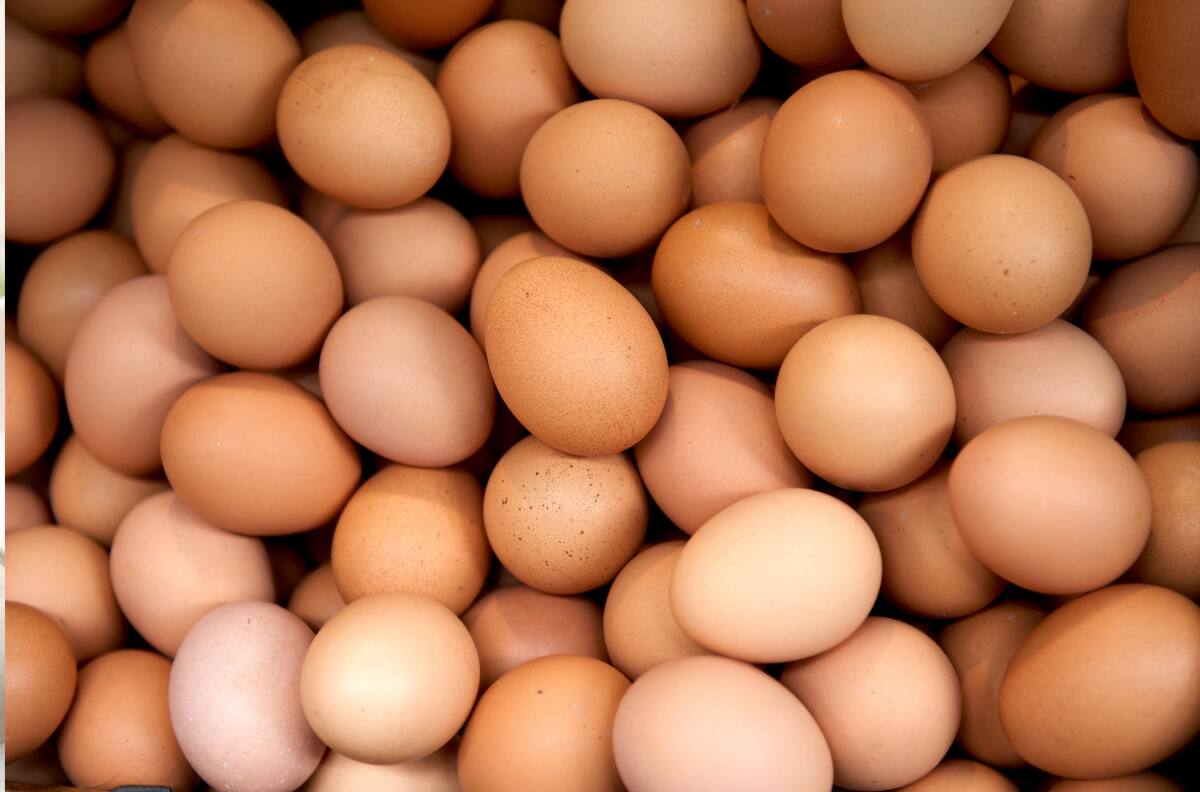 Precio del huevo sube un 20%: en este supermercado de Chile puedes pagar menos por la bandeja de 30 unidades