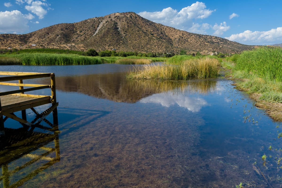 Este recinto entrega un respiro de naturaleza sin salir de la Región Metropolitana. Créditos: Santuario Laguna Batuco.